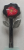 1000005764.png