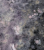1000005826.png