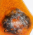1000006189.png
