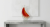 1000006422.png