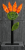 1000007033.png