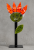 1000007037.png