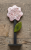 1000007576.png