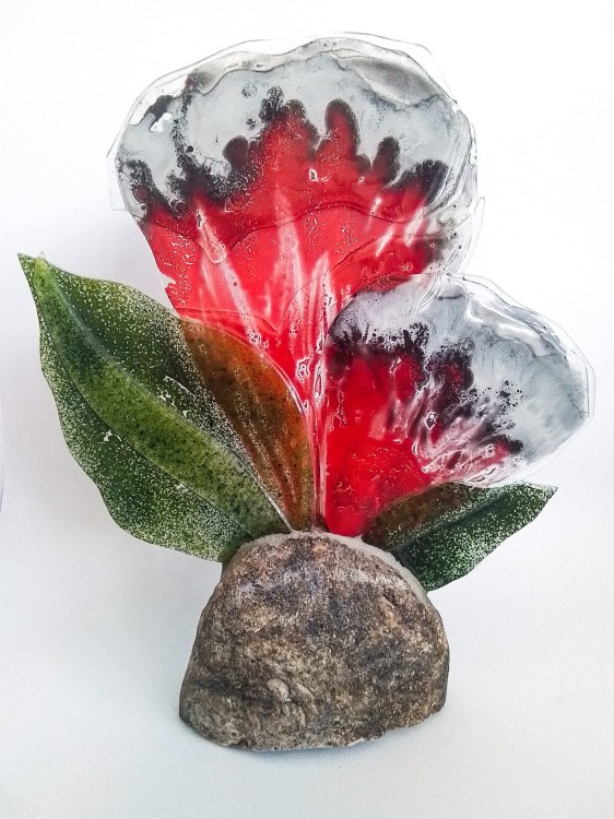 kwiat na kamieniu.jpg