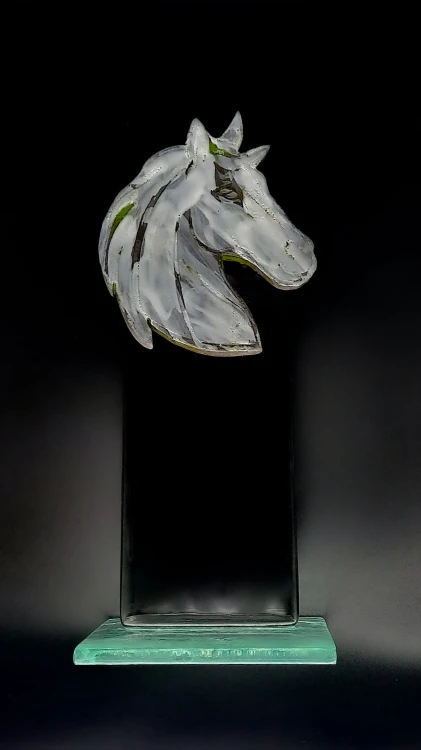 1000003412.jpg
